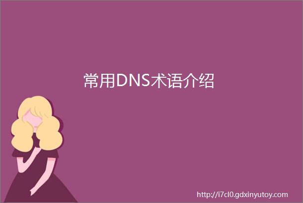 常用DNS术语介绍