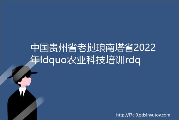 中国贵州省老挝琅南塔省2022年ldquo农业科技培训rdquo第五期线上培训暨结业典礼圆满结束