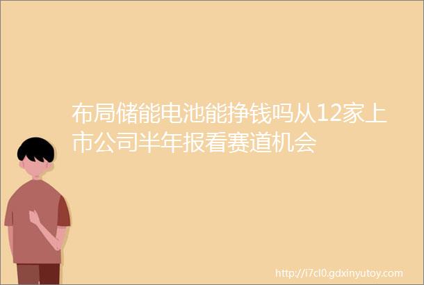 布局储能电池能挣钱吗从12家上市公司半年报看赛道机会